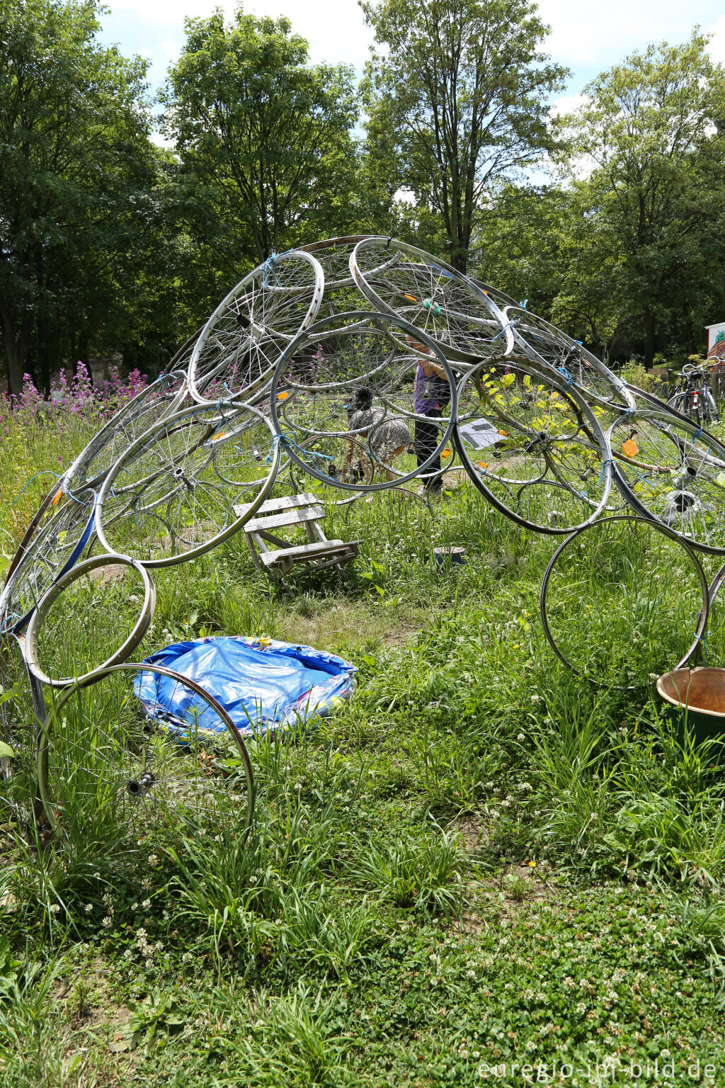 Detailansicht von Der Gemeinschaftsgarten HirschGrün in Aachen