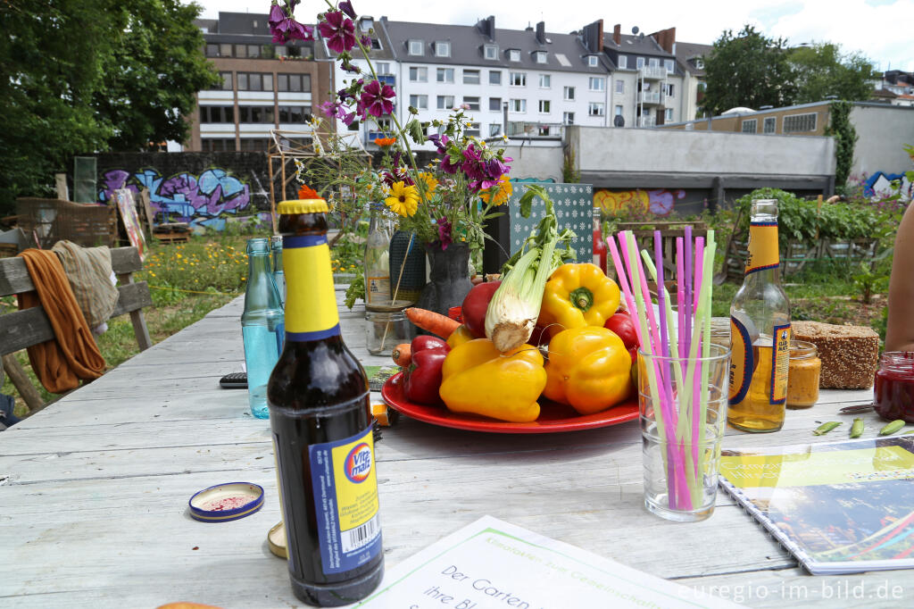 Detailansicht von Der Gemeinschaftsgarten HirschGrün in Aachen