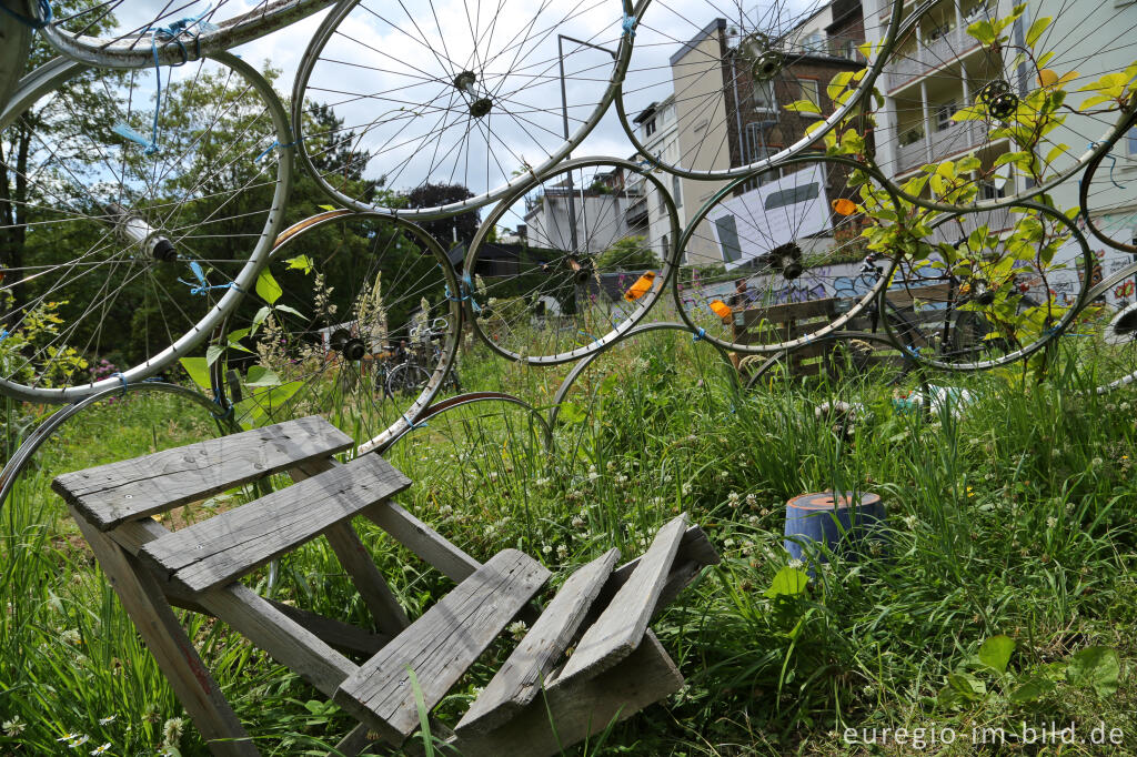 Detailansicht von Der Gemeinschaftsgarten HirschGrün in Aachen