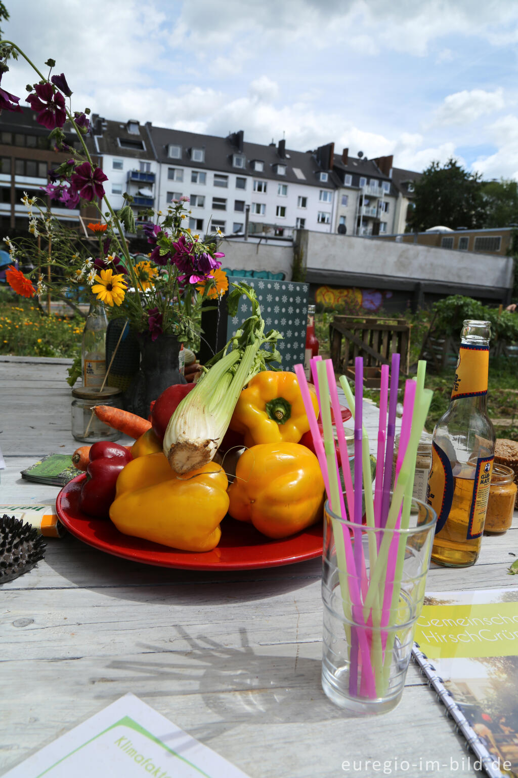 Detailansicht von Der Gemeinschaftsgarten HirschGrün in Aachen