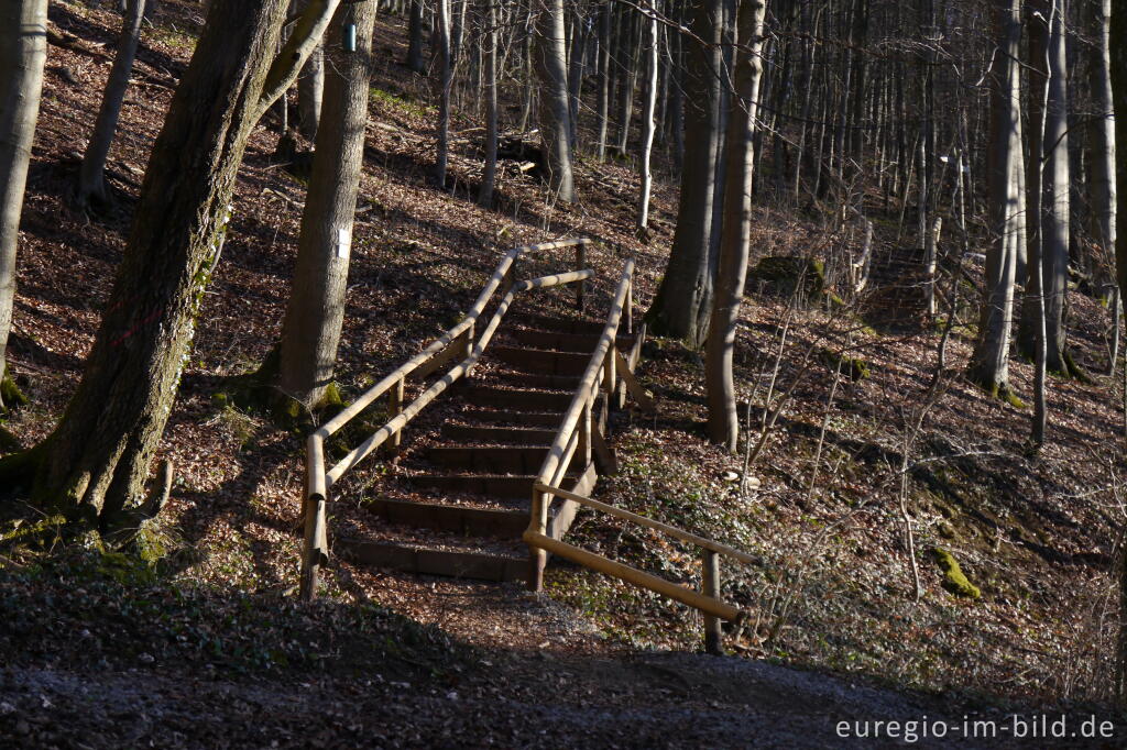 Detailansicht von Der Gillesbach bei Kloster Steinfeld