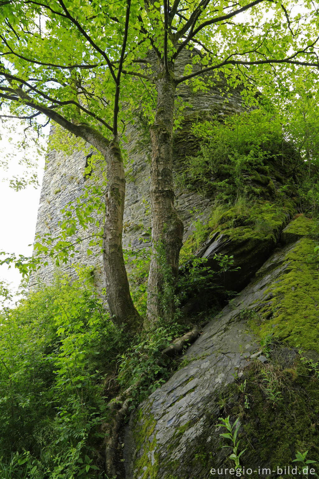 Detailansicht von Der Haller, Monschau