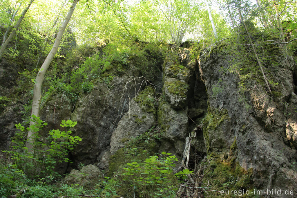 Detailansicht von Der Heiligenstein südöstlich von Gerostein in der Vukaneifel