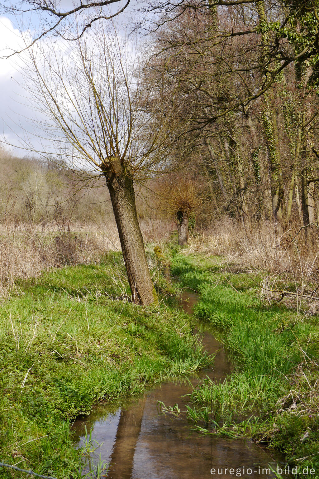 Detailansicht von Der Hemelbeek bei Elsloo, NL