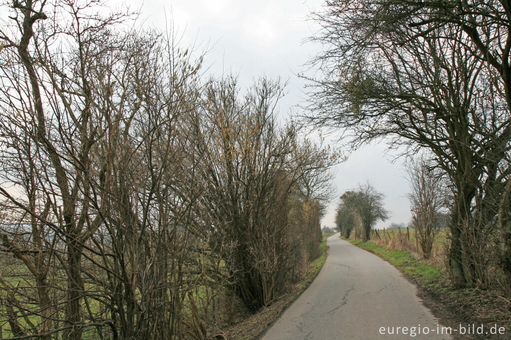 Detailansicht von Der Herzogsweg, westlich von Aachen-Laurensberg