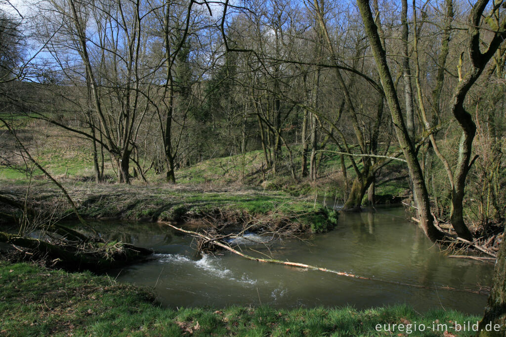 Detailansicht von Der Hohnbach bei Kelmis (B)