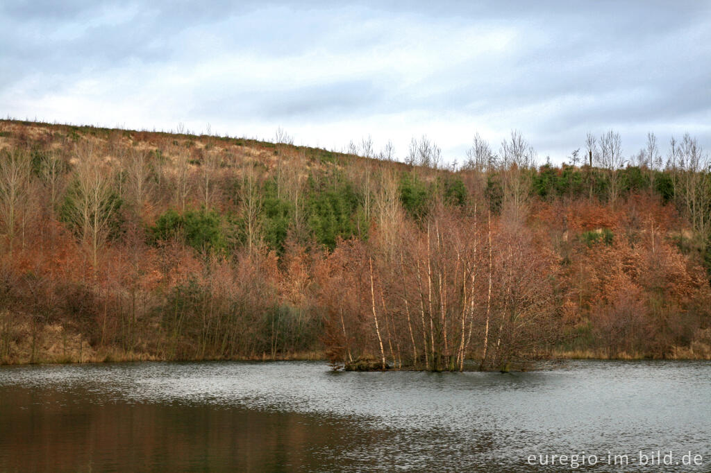 Detailansicht von Der Inselsee auf der Sophienhöhe