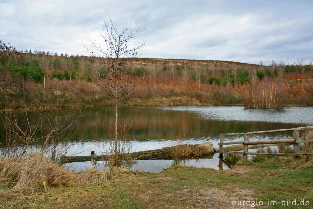 Detailansicht von Der Inselsee auf der Sophienhöhe