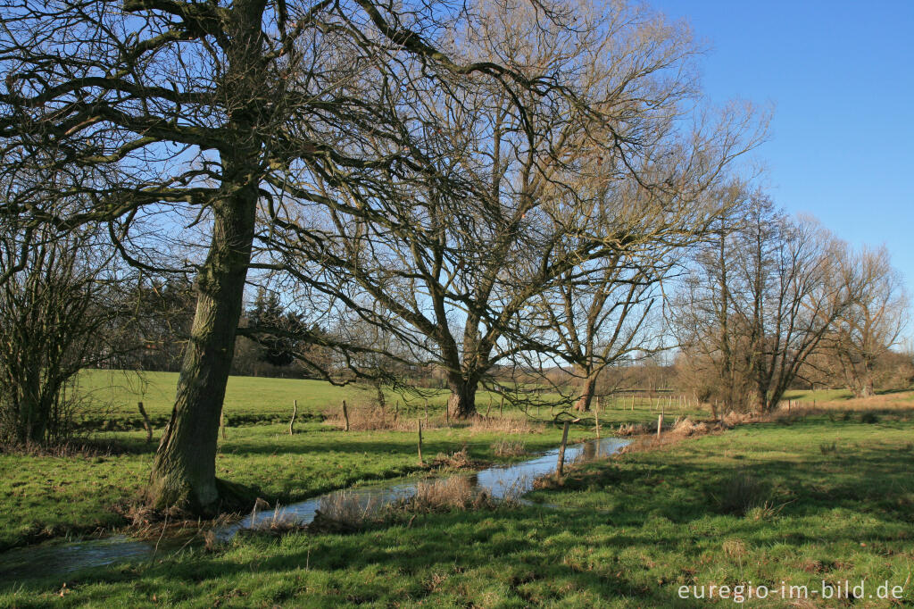 Detailansicht von Der Iterbach, westlich von Walheim