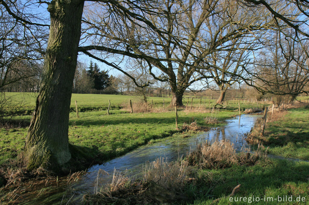 Detailansicht von Der Iterbach, westlich von Walheim