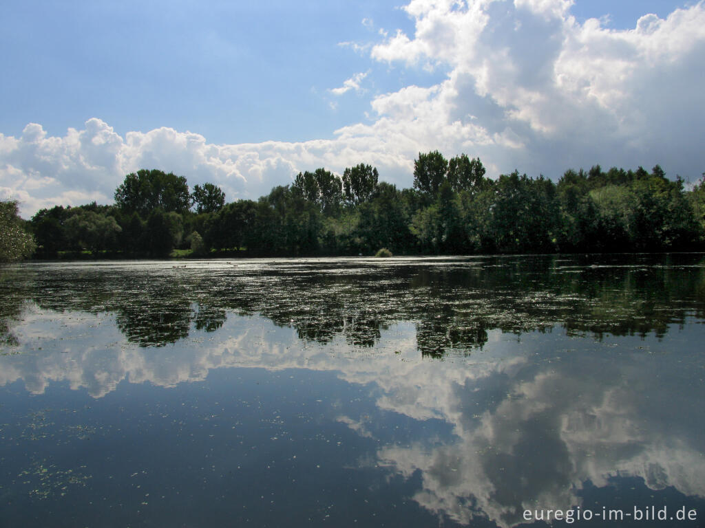 Detailansicht von Der Kahnweiher bei Herzogenrath