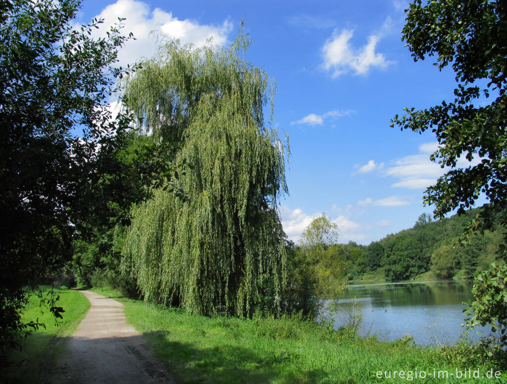 Detailansicht von Der Kahnweiher bei Herzogenrath