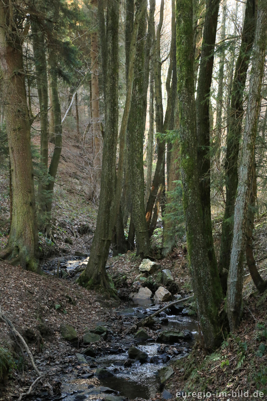 Der Ketzerbach, "Dorfrundgang Lammersdorf"