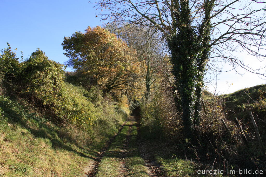 Detailansicht von Der Kolmonderbosweg, ein Hohlweg bei Nijswiller