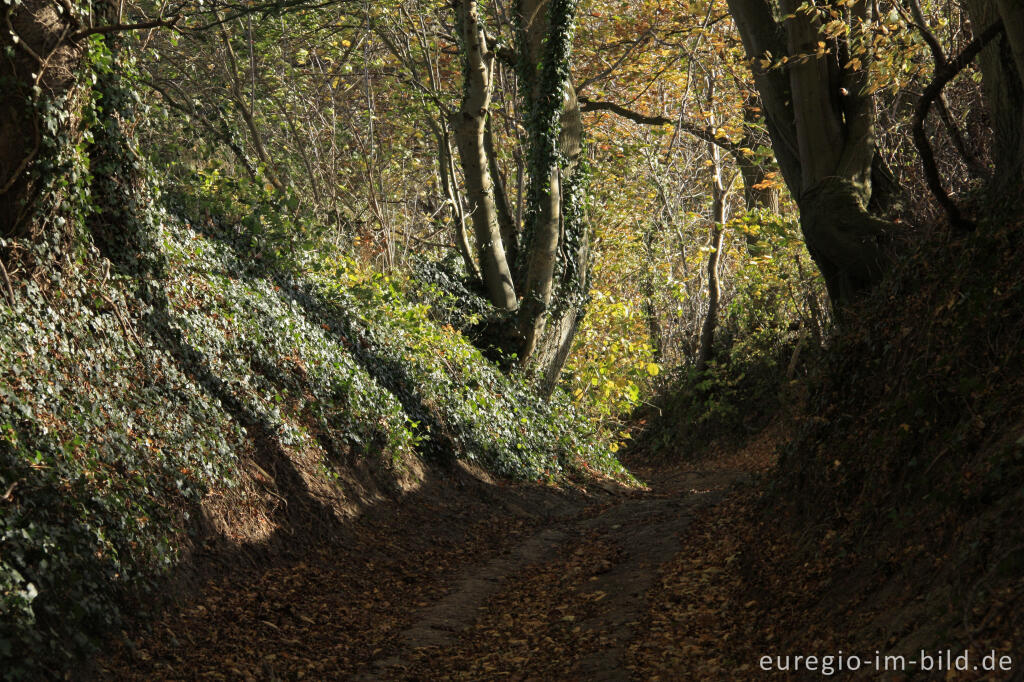 Detailansicht von Der Kolmonderbosweg, ein Hohlweg bei Nijswiller