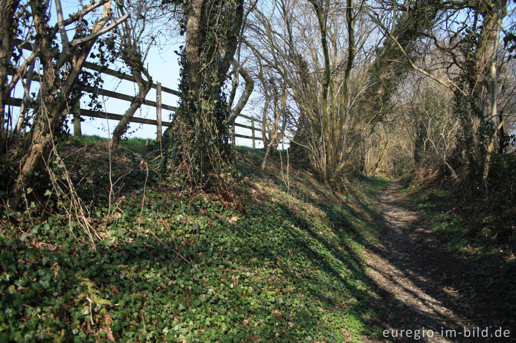 Detailansicht von Der Limburgerweg, ein alter Hohlweg nördlichöstlich von Lontzen