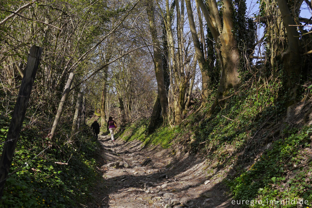 Detailansicht von Der Mameliser Mühlenweg, Aachen-Orsbach