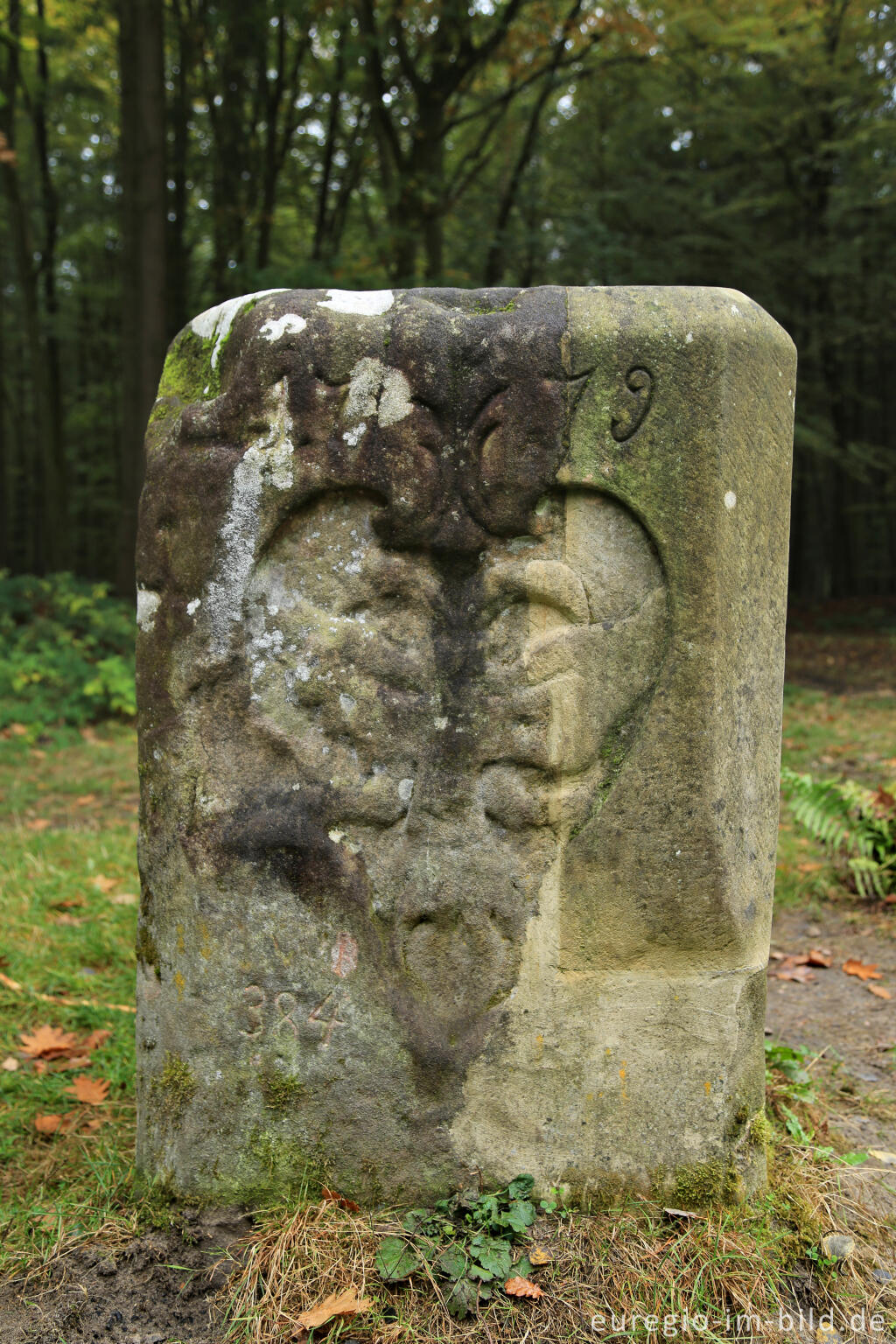 Detailansicht von Der Maria-Theresia-Stein auf dem Wanderweg "Grüne Hölle", Südeifel