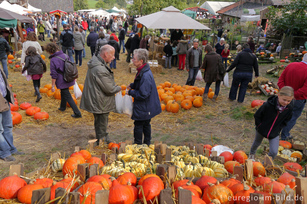 Detailansicht von Der Meroder Kürbismarkt