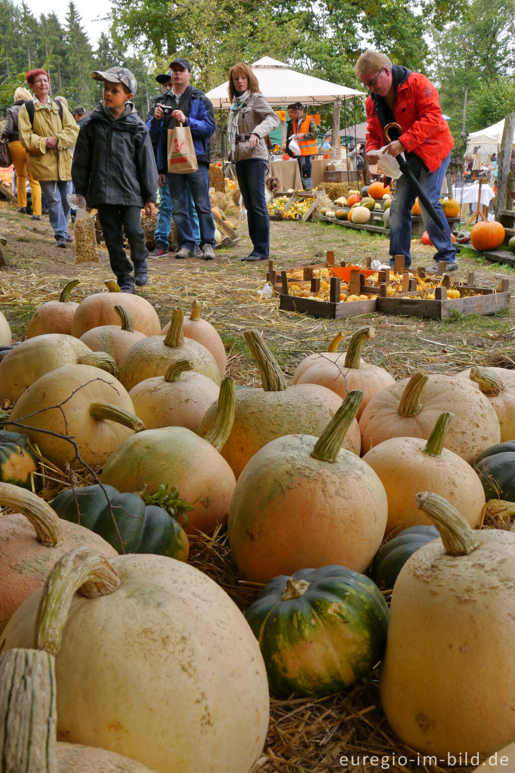 Detailansicht von Der Meroder Kürbismarkt