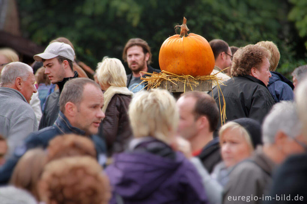 Detailansicht von Der Meroder Kürbismarkt