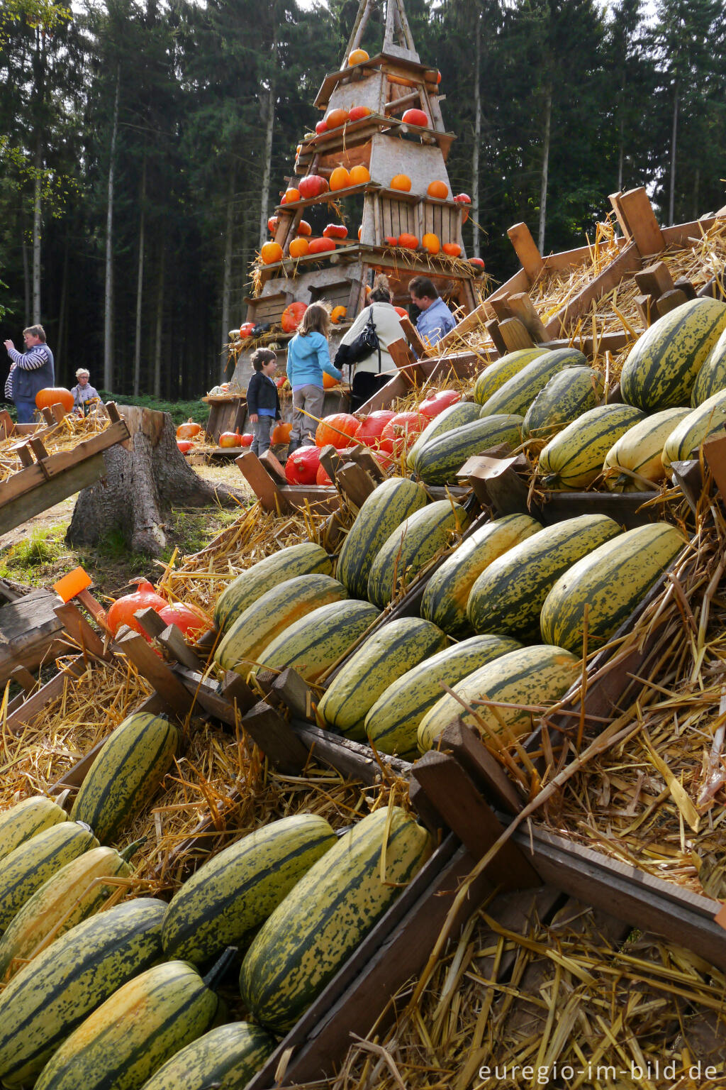 Detailansicht von Der Meroder Kürbismarkt