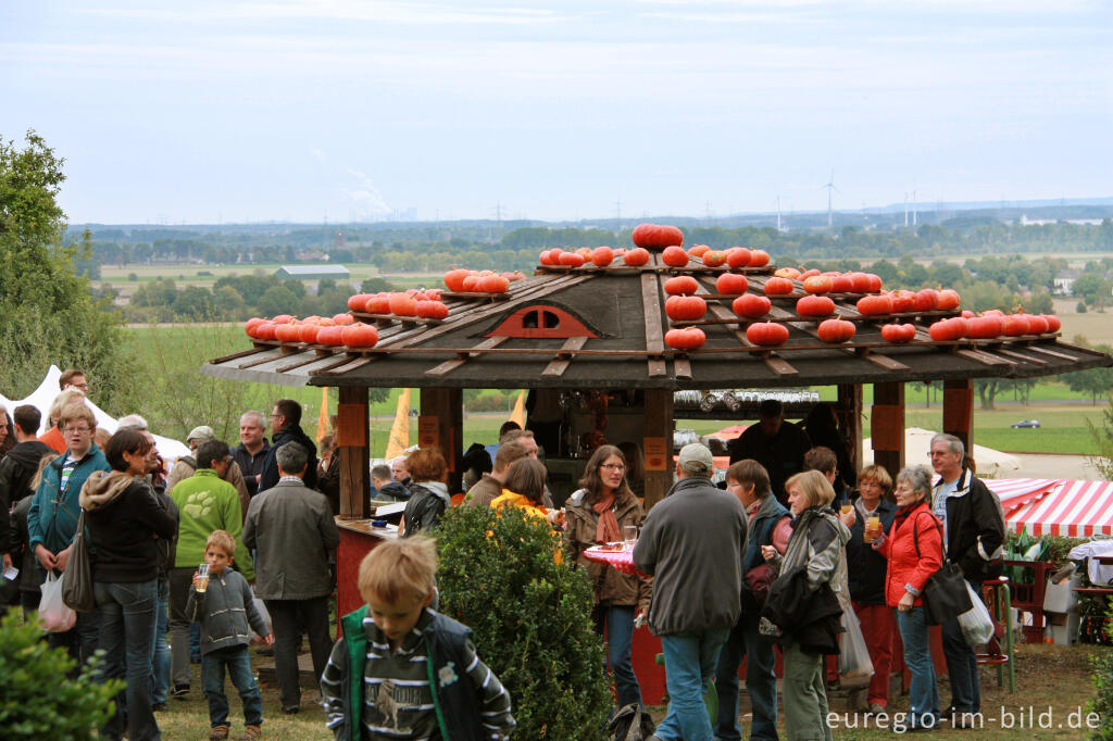 Detailansicht von Der Meroder Kürbismarkt