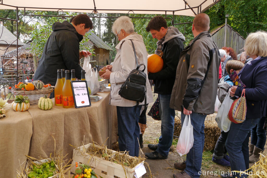 Detailansicht von Der Meroder Kürbismarkt