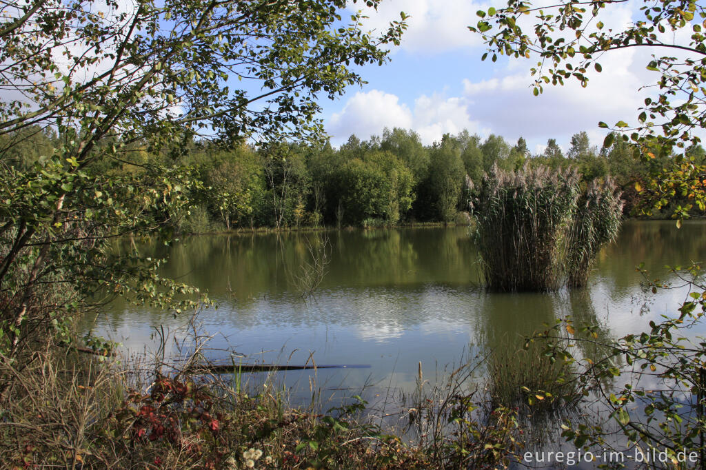 Detailansicht von Der Niederzierersee auf der Sophienhöhe