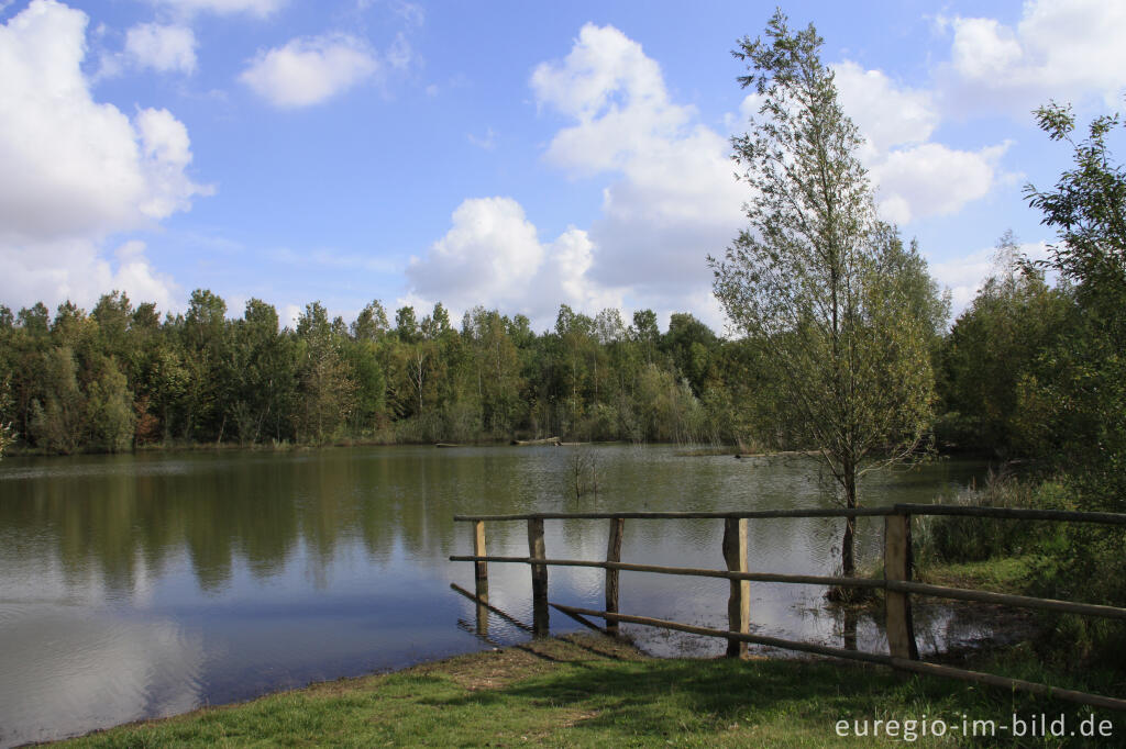 Detailansicht von Der Niederzierersee auf der Sophienhöhe