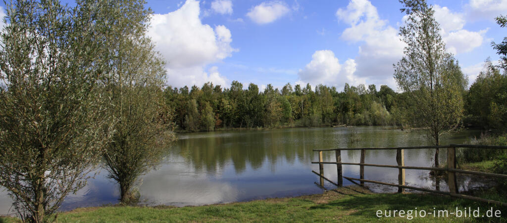 Detailansicht von Der Niederzierersee auf der Sophienhöhe