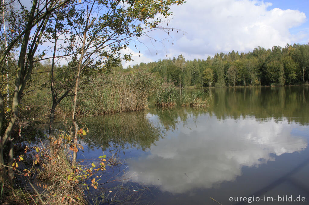 Detailansicht von Der Niederzierersee auf der Sophienhöhe