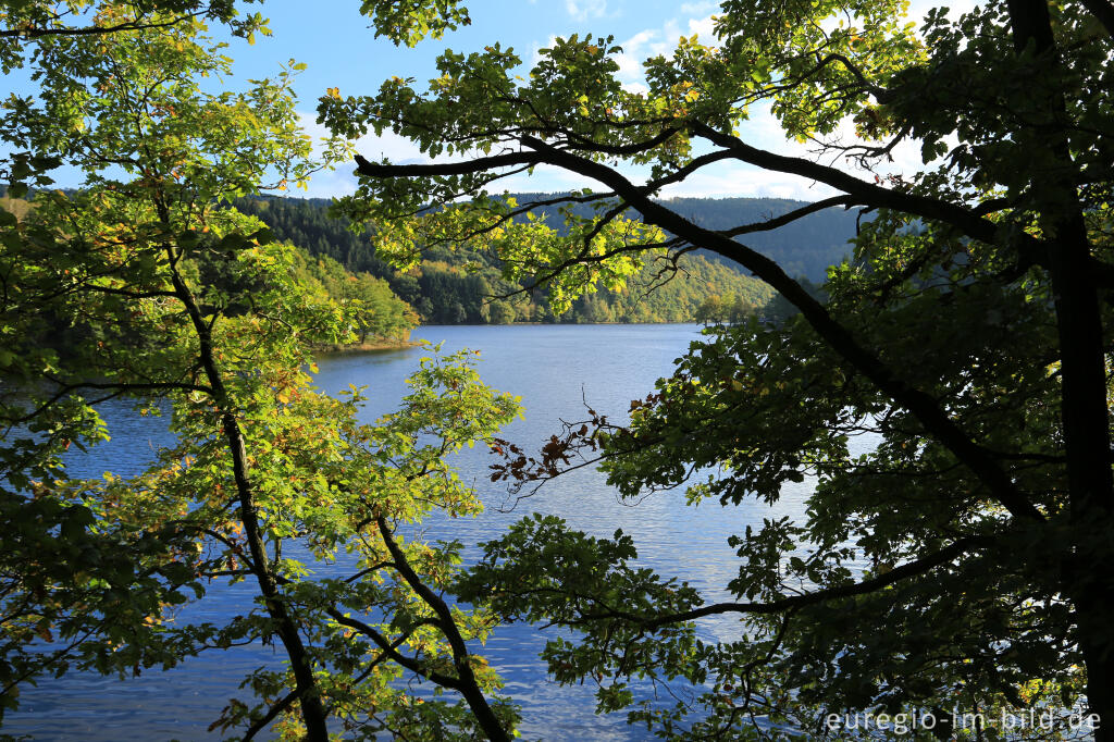 Detailansicht von Der Obersee bei Rurberg