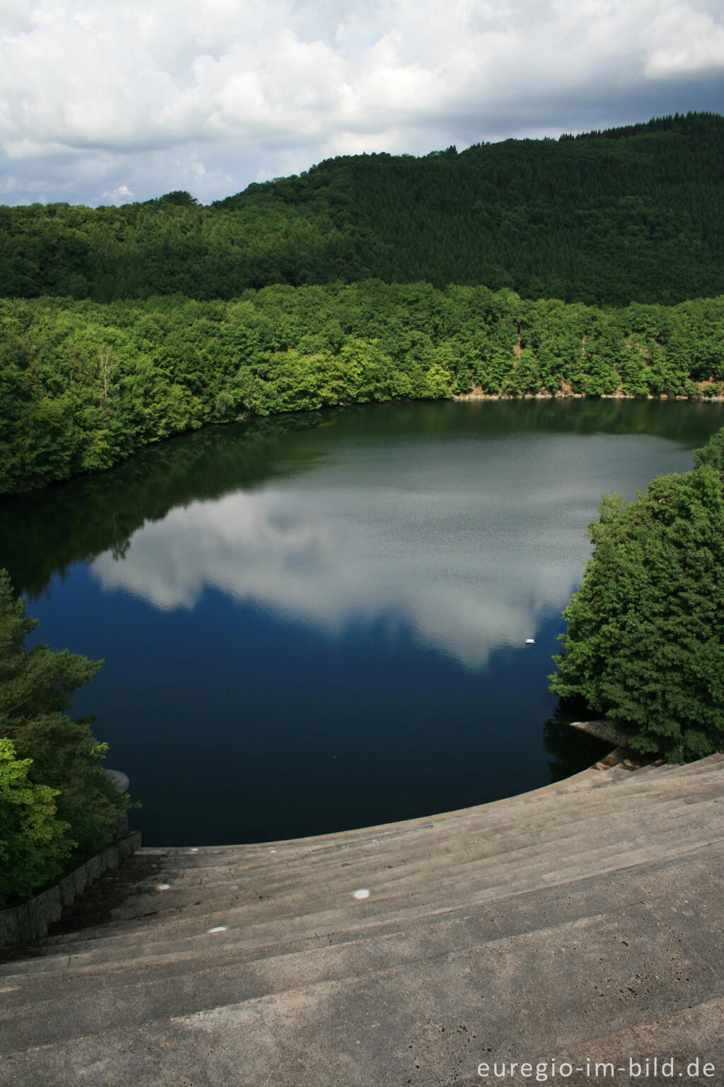 Detailansicht von Der Obersee im Nationalpark Eifel