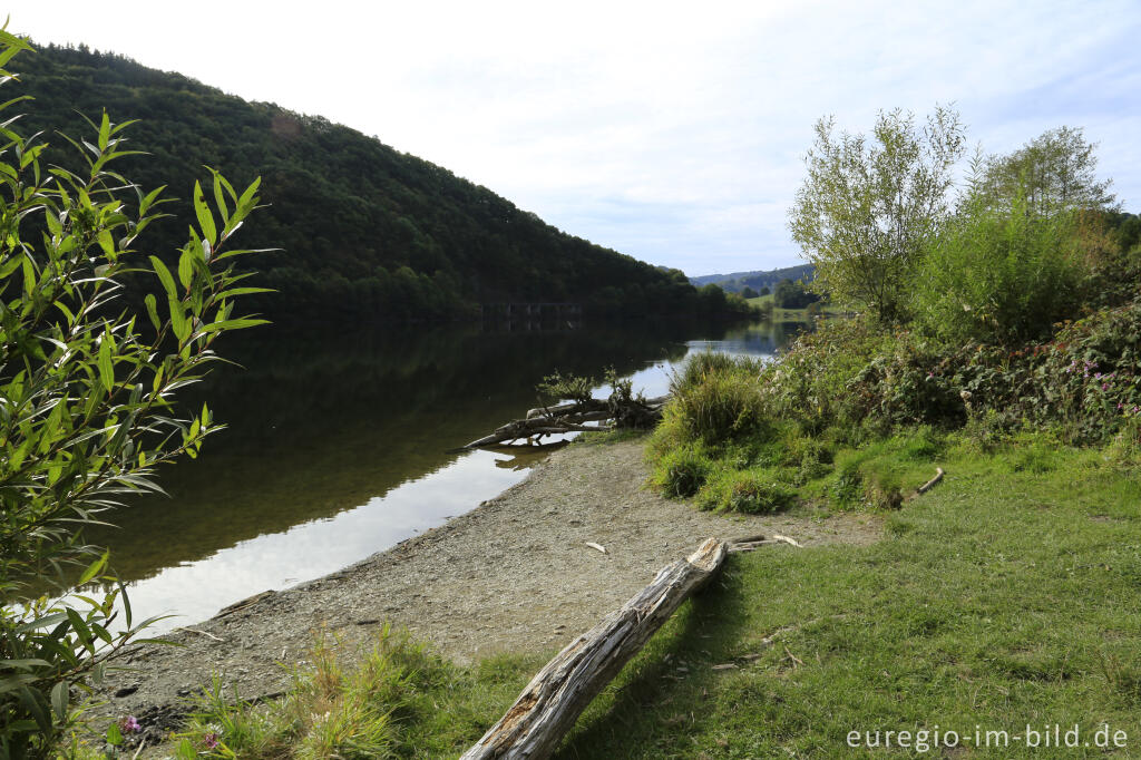 Detailansicht von Der Obersee, Teil der Rurtalsperre