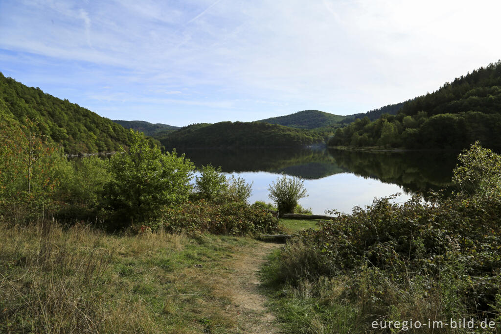 Detailansicht von Der Obersee, Teil der Rurtalsperre