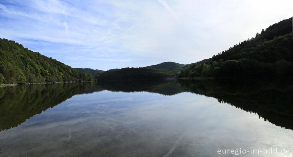 Detailansicht von Der Obersee, Teil der Rurtalsperre