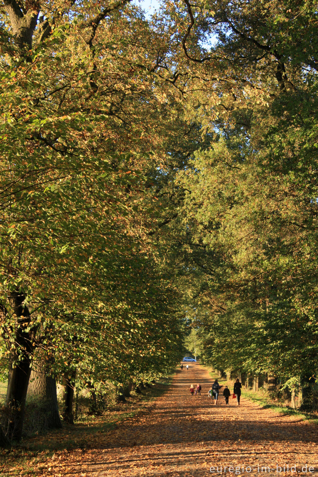 Detailansicht von Der Oude Maastrichterweg bei Gulpen