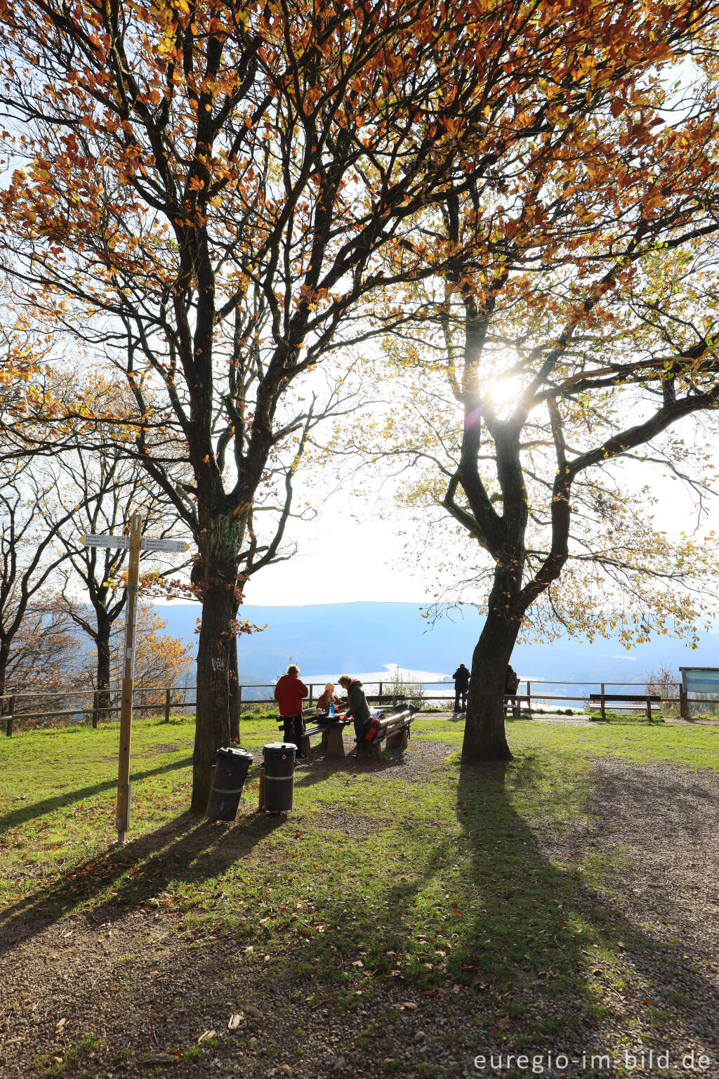 Detailansicht von Der Picknickplatz Schöne Aussicht am Rursee bei Schmidt