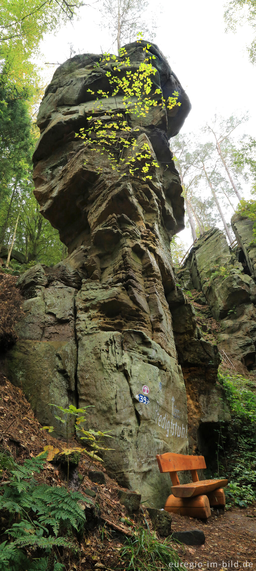 Detailansicht von Der Predigtstuhl, Wanderweg "Grüne Hölle", Südeifel