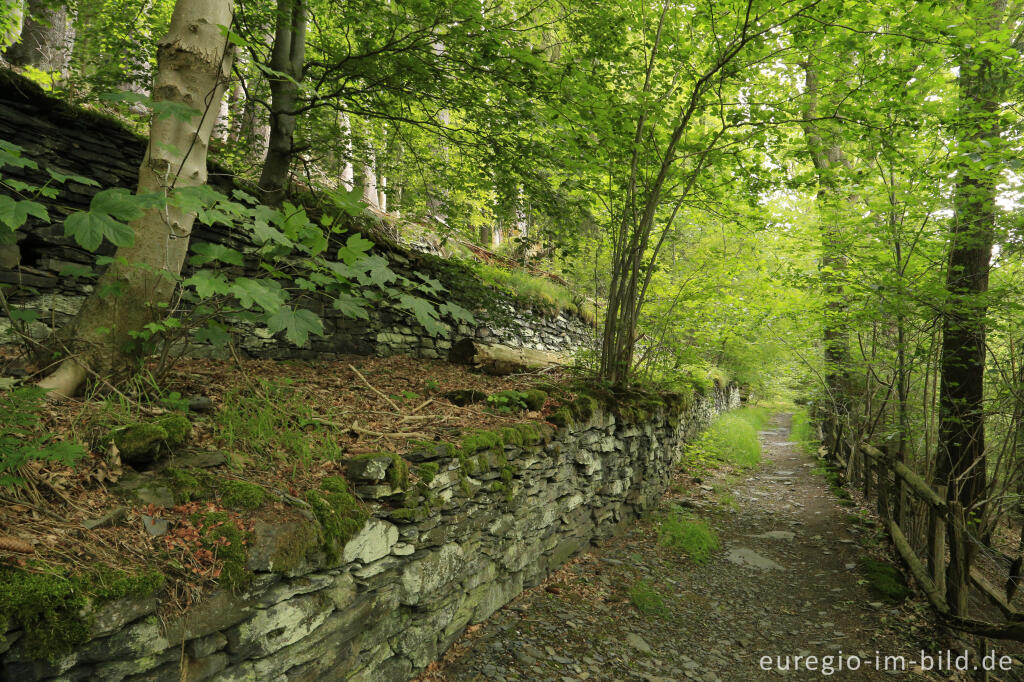 Detailansicht von Der Rahmenberg, auf dem Panoramaweg von Monschau