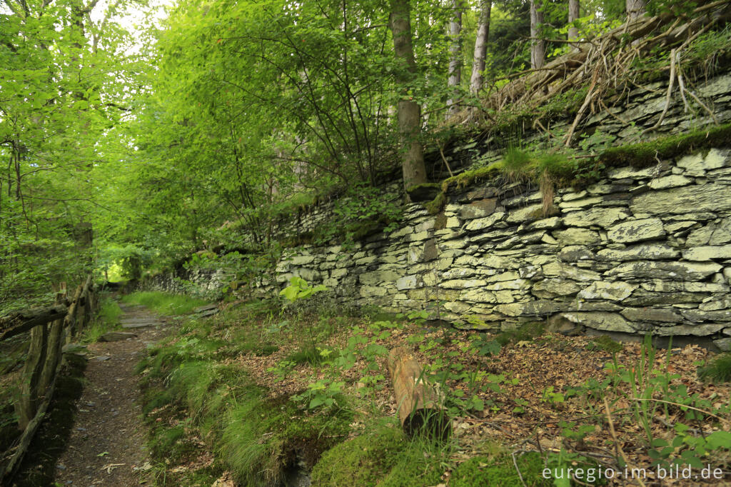 Detailansicht von Der Rahmenberg, auf dem Panoramaweg von Monschau