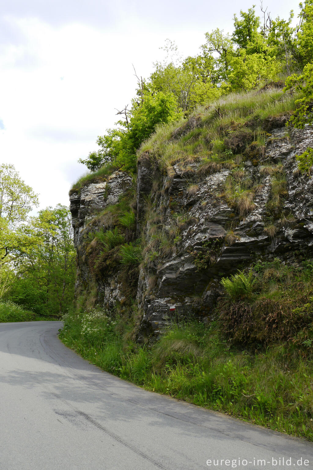 Detailansicht von Der Rittersprung bei Ouren