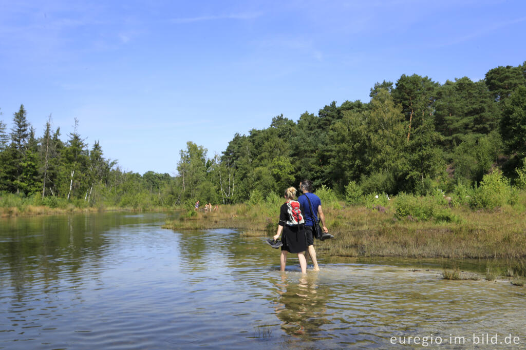 Detailansicht von Der Rode Beek, Brunssumerheide