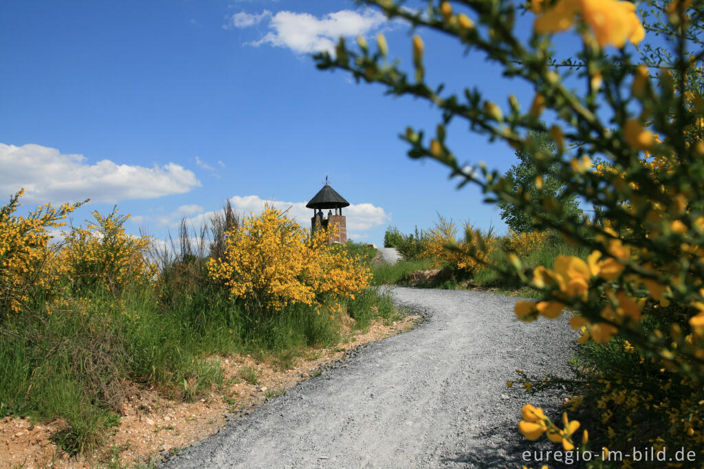 Detailansicht von Der Römerturm auf der Sophienhöhe