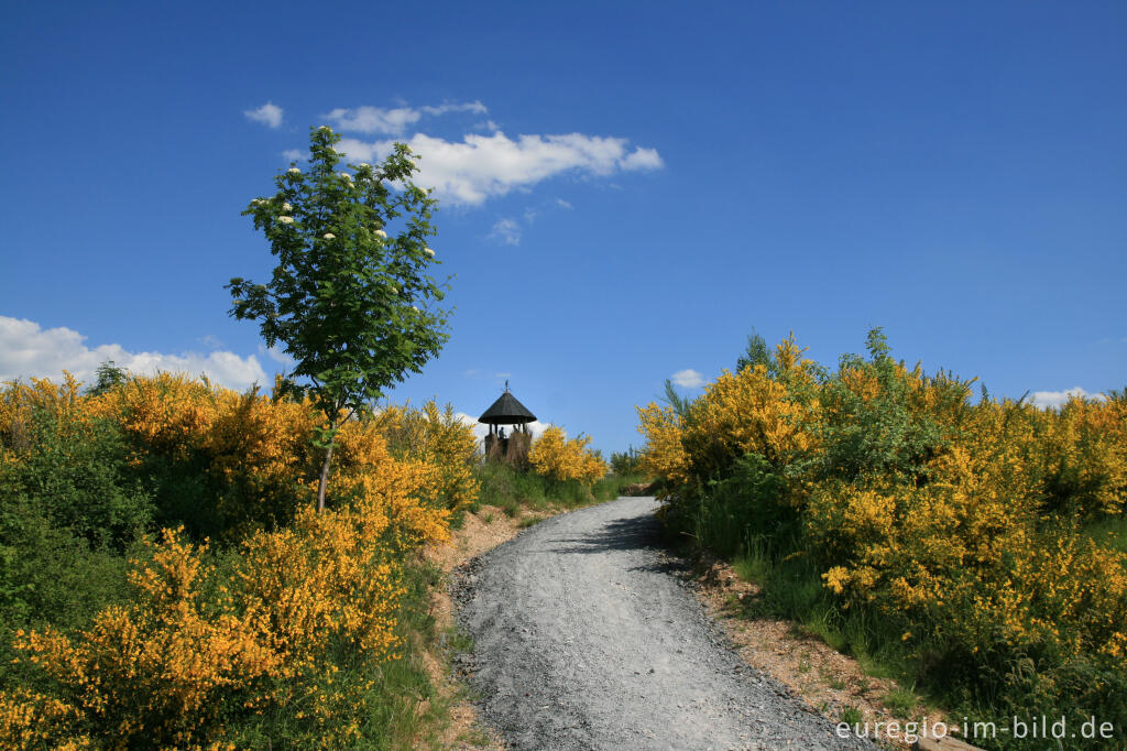 Detailansicht von Der Römerturm auf der Sophienhöhe