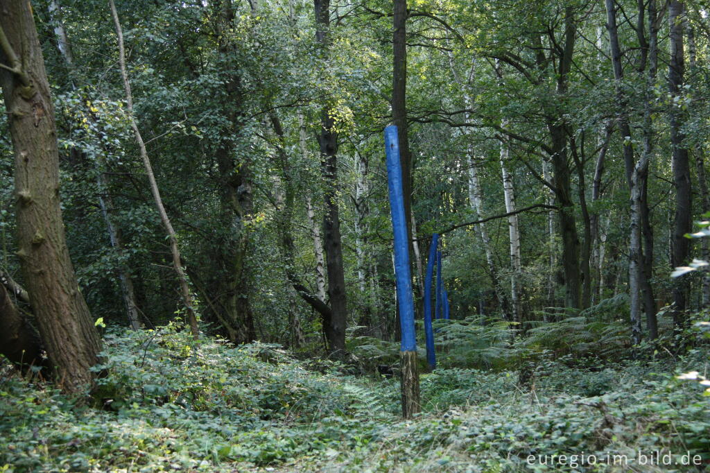 Detailansicht von Der römische "Drover-Berg-Tunnel" in der  Drover Heide