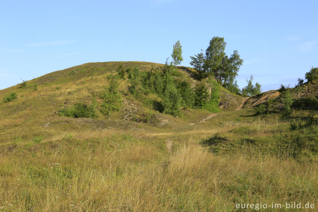 Detailansicht von Der Schlangenberg bei Breinigerberg