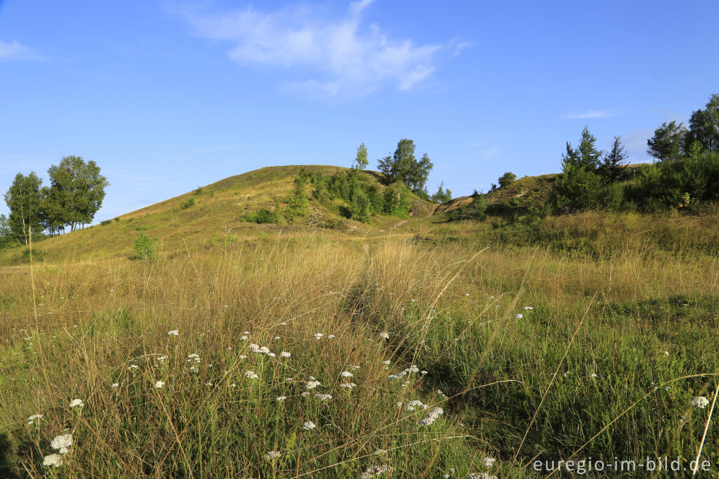 Detailansicht von Der Schlangenberg bei Breinigerberg