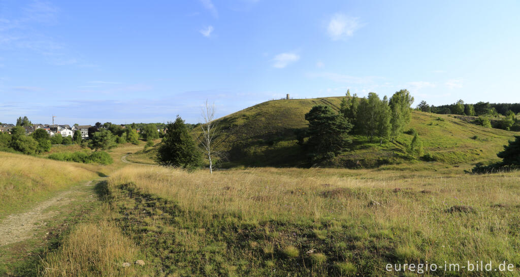 Detailansicht von Der Schlangenberg bei Breinigerberg